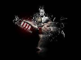 Assorted ufc collage wallpaper, mma, fighters, mixed martial arts. 73 Ufc Wallpapers On Wallpapersafari
