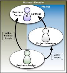 Partnering Project Manager Business Analyst Collaboration