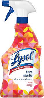 Amazon Com Lysol All Purpose Cleaner Trigger Brand New Day Mango Hibiscus 22 Oz Health Personal Care