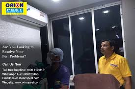 Termite queen in royal chamber with king, soldier, worker. Pestcontrolindia Hashtag On Twitter