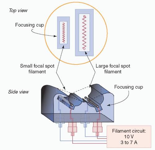 Top and side views of a dual-filament focusing cup, AI generated