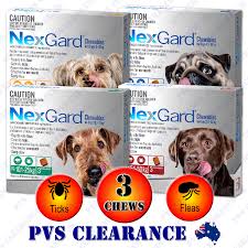 Nexgard chewable tablets for dogs contain an ingredient which helps treat and control fleas and ticks and keeps killing them for 30 days, breaking their lifecycle. Nexgard 3 For All Size Dogs 3 Pack Orange Blue Green Red Nexguard Original Ebay