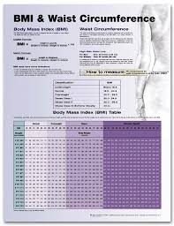 Bmi And Waist Circumference Doctor Doctor Ideal