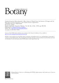 Image result for Triplochiton zambesiacus