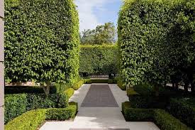 Paul Bangay S Inspiring Gardens Garden Design Ficus Garden Boxes
