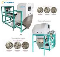Industrial Garlic Color Sorter Machine