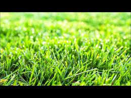 Touch Grass Know Your Meme