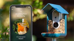 Sidharth shukla (born 12 december 1980) is an indian actor, host and model who appears in hindi television and films. Bird Buddy A Smart Bird Feeder By Bird Buddy Kickstarter