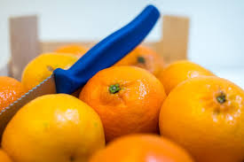 Check spelling or type a new query. I Mandarini Fanno Ingrassare Scopri Le Proprieta E Le Calorie