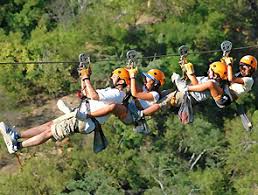 Epic gelato, flower mound, tx. Activities Tours And Cruises In Los Cabos Camels