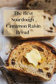The Best Sourdough Cinnamon Raisin Bread Home Grown Happiness Recipe In 2020 Raisin Bread Cinnamon Raisin Bread Sourdough