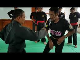 24 мин и 17 сек, битрейт: Persatuan Seni Silat Pusaka Gayung Lagu Mp3 Mp3 Dragon