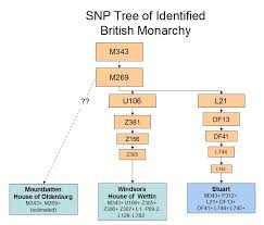 Monarchy Diagram List Of Wiring Diagrams