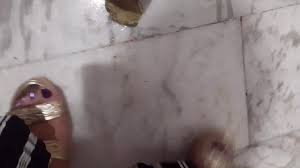 Frog crush fetish