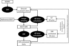 How to draw liver, stomach, small and large intestine, and cloaca in biology practical copy. Assessment Of Dosimetric Errors Induced By Deformable Image Registration Methods In 4d Pencil Beam Scanned Proton Treatment Planning For Liver Tumours Radiotherapy And Oncology