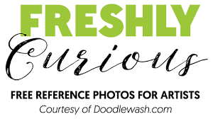 Every artist, that loves to draw or paint sooner or later needs maybe some reference photos, and a lot of those artists make one major mistake. Doodlewash Watercolor Painting Sketching Blog Community Shop