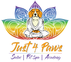 We did not find results for: Just 4 Paws Pet Spa Pet Grooming Care
