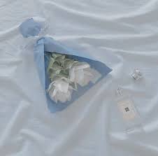 𝐁𝐄𝐕𝐄𝐑𝐋𝐘 水色 背景 おしゃれな壁紙背景 青の写真