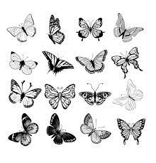 744x1200 simple drawing of flowers and butterflies. Small Butterflies Tattoo Design Small Butterfly Tattoo Butterfly Tattoo Designs Tiny Butterfly Tattoo