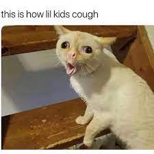 Pin On Humor