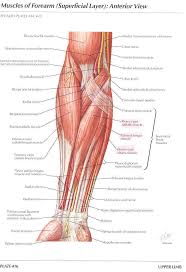 Pin Em Toning Exercises Workouts