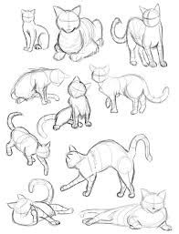 Art Alicia Cat Poses Risovat Risunki Risunok Zhivotnyh Cat anatomy 01 by doodlingdruid on deviantart. art alicia cat poses risovat