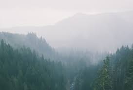 Today's and tonight's vancouver, wa weather forecast,. Air Quality Bad For Another Day Over Vancouver Island My Cowichan Valley Now