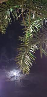 سناب قمر قمر١٤ nature photos moon photography cool backgrounds