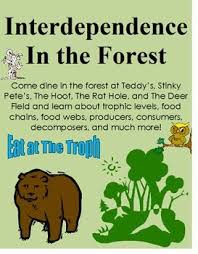 Animal Plant Interdependence Skit Trophic Levels Food Chains Food Webs Trophic Level Food Web Food Chain