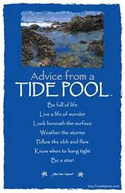Advice From A Tide Pool Frameable Art Card In 2020 Tide Pools True Nature Advice Quotes