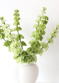 Free for commercial use no attribution required high quality images. Bells Of Ireland Silk Wedding Flowers Afloral Com