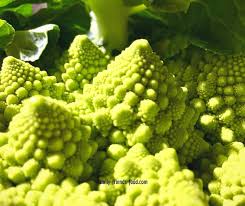 Other notable members of this family include kale, cabbage, brussels sprouts, broccoli, and cauliflower. Roasted Romanesco With Za Atar Easy Gorgeous Family Friends Food