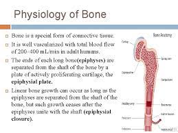 Physiology Of Bone Dr Salah Elmalik Physiology Department