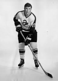 Jerry Lindquist's Sports Memories: The Robins rocked the Richmond hockey  scene