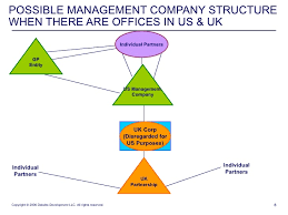 Management Companies And Special Purpose Vehicles