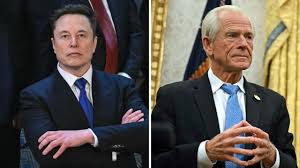 Elon Musk has called Peter Navarro dumber than a bag of bricks | The Australian