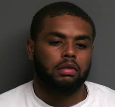 Murder defendant agrees to 22 years in prison for 2013 Clinton Twp. park  shooting