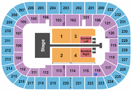 Bon Secours Wellness Arena Hockey Seating Chart Best