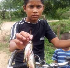The lluvia de peces (lit. 'rain of fish'), also known as aguacero de pescado (lit. 'downpour of fish'), is a phenomenon that has been occurring yearly for more than a century in yoro, honduras, in which fish fall from the sky. Sabias Que En Un Pueblo De Honduras Llueven Peces