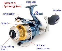 Part Of A Spinning Reel Spinning Reels Spinning Fishing Tips
