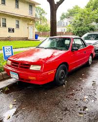 Image result for Wildberry 1993 Shadow