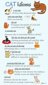 Animal Idioms About Cats And Their Meanings In English Eslbuzz Learning English English Idioms Idioms Learn English
