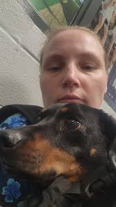 Dachshund clinging to owner today