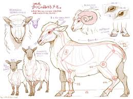 Pyopicscrap Animal Sketches Animal Drawings Animal Illustration