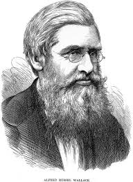 Profiles in Science for Science Librarians: "What Lives Where, and Why":  Alfred Russel Wallace, and the Field of Bioge
