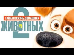 скачать тайная жизнь домашних животных 2 в хорошем качестве Tajnaya Zhizn Domashnih Zhivotnyh 2 2019 Smotret Onlajn V Horoshem Kachestve Hd Besplatno Secret Life Of Pets Challenge 24 Pets