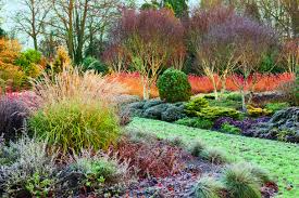 It S Winter The Garden Is Resting And We Should Too Winter Plants Winter Garden Dream Garden