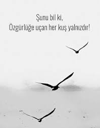 sunu bil ki ozgurluge ucan her kus yalnizdir sozler anlamlisozler guzelsozler manalisozler ozlusozler alinti alintila ozlu sozler alintilar edebiyat