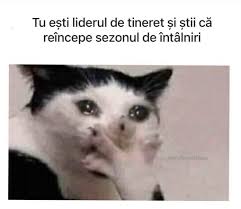 images?q=tbn:ANd9GcS6I_nqjUyMYeSPU0wwqqu