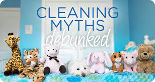 Cleaning Myths Debunked Lice In The Home Maidpro Home Cleaning